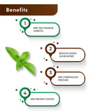H&C Natural Stevia Leaves Powder / Stevia Rebaudiana - 100gm - HNW GLOBAL
