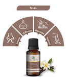 Korus Essential Vanilla Essential Oil - 15ml - HNW GLOBAL