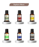 Korus Essential Vanilla Essential Oil - 15ml - HNW GLOBAL