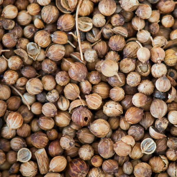 Jambul Seeds