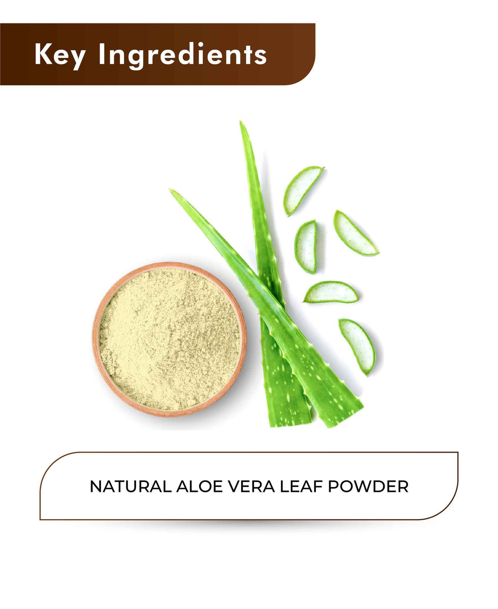 H&C Natural Aloe Vera Leaf Powder - 100gm - HNW GLOBAL