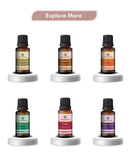 Korus Essential Camphor Essential Oil - 15ml - HNW GLOBAL