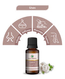 Korus Essential Garlic Essential Oil - 15ml - HNW GLOBAL