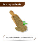 H&C Natural Gymnema Leaves Powder - 100gm - HNW GLOBAL