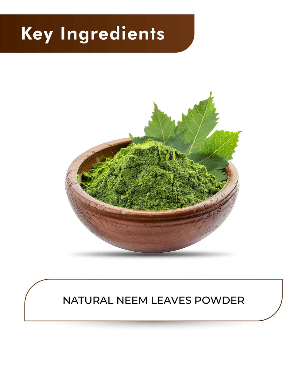H&C Natural Neem Leaves Powder / Azadirachta Indica - 100gm - HNW GLOBAL