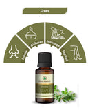 Korus Essential Thyme Essential Oil - 15ml - HNW GLOBAL