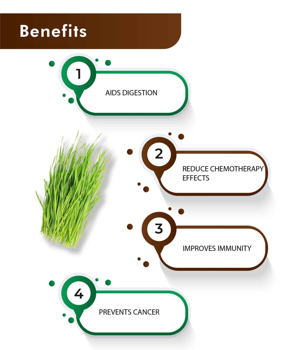 H&C Natural Wheatgrass Powder / Triticum Aestivum - 100gm - HNW GLOBAL