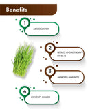H&C wheatgrass Tablet - 350mg , 60 Count - HNW GLOBAL